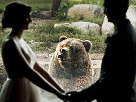人類放尊重點！新人在動物園完婚 灰熊看到接吻都驚呆惹