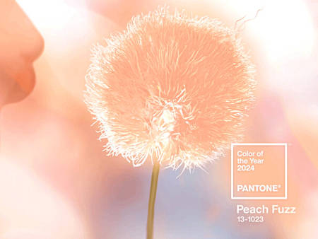 連少女時代太妍都愛的顏色，Pantone 2024 代表色── Peach Fuzz 柔和桃
